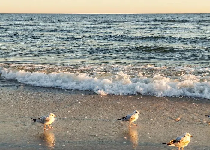 2 Bedroom In * Jezierzany